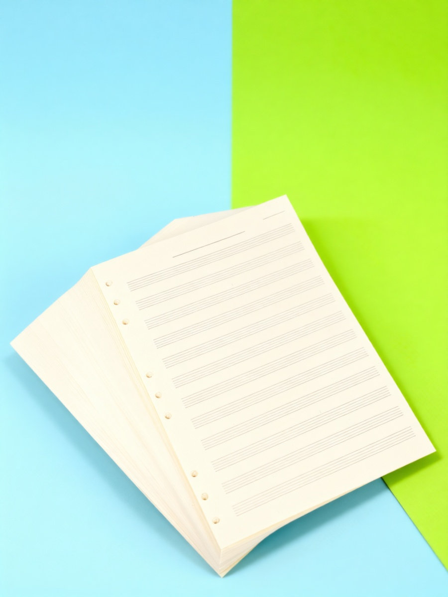 100 hojas de papel para manusc - Blank Sheet Music Notebook reseña y precio